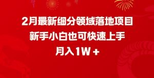 2月最新细分领域落地项目,新手小白也可快速上手,月入1W-兵兵资源