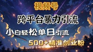 跨平台暴力引流，私域完美闭环，日引500+精准创业粉-兵兵资源