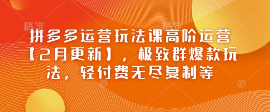 拼多多运营玩法课高阶运营【2月更新】，极致群爆款玩法，轻付费无尽复制等-兵兵资源