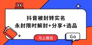 抖音被封转实名攻略，永久封禁也能限时解封，分享解封后高效选品技巧-兵兵资源