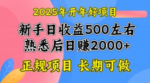 2025开年好项目,单号日收益2000左右-兵兵资源