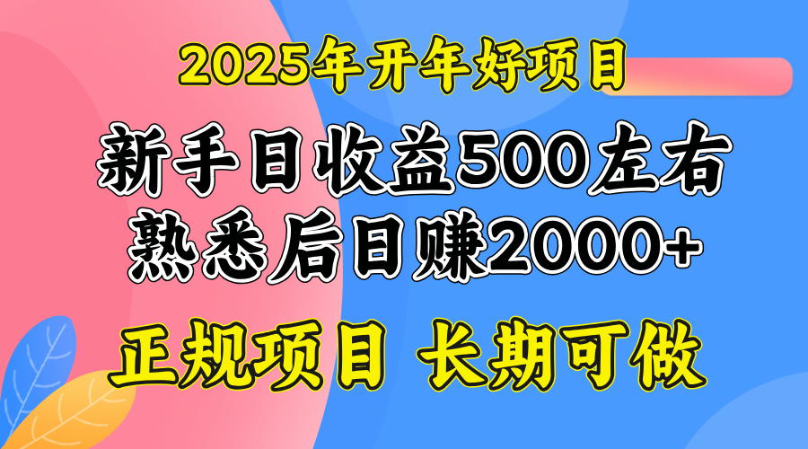 2025开年好项目,单号日收益2000左右-兵兵资源