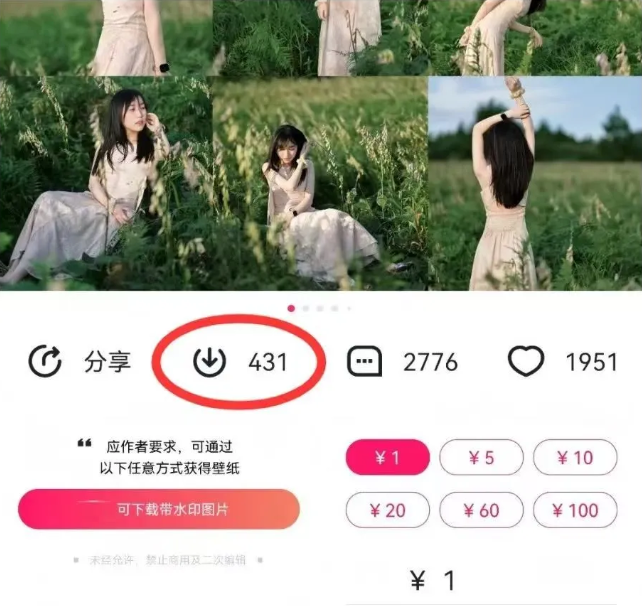 最新图虫搬运项目，收益无上限，利用AI小白也可日赚500+-兵兵资源