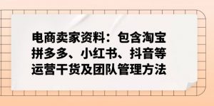 电商卖家资料：包含淘宝、拼多多、小红书、抖音等运营干货及团队管理方法-兵兵资源