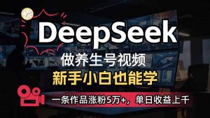 小白用DeepSeek做养生号，一条作品涨粉5万+，单日收益上千-兵兵资源