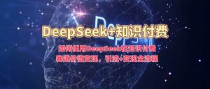 如何使用DeepSeek在知识付费赛道价值变现，引流+变现全流程-兵兵资源