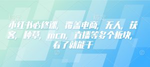 小红书必修课,覆盖电商,无人,获客,种草,mcn,直播等多个板块,看了就能干-兵兵资源