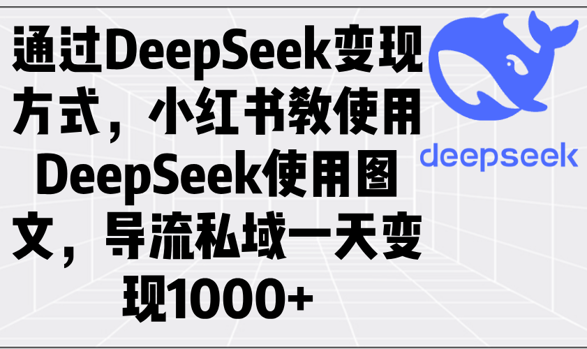 通过DeepSeek变现方式，小红书教使用DeepSeek图文，导流私域一天变现1000+-兵兵资源