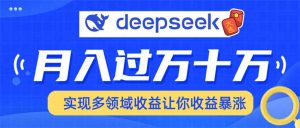 用DeepSeek席卷各大平台，快速上手实现多领域，让你收入猛增-兵兵资源