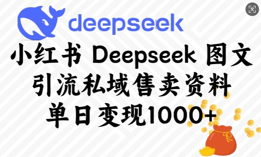 小红书Deepseek图文引流私域售卖资料,单日变现多张-兵兵资源