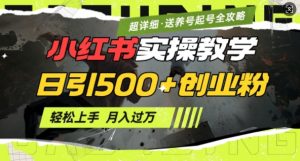 2月小红书最新日引500+创业粉实操教学【超详细】小白轻松上手，月入1W+，附小红书养号起号SOP-兵兵资源