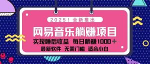 2025最新网易云躺赚项目 每天几分钟 轻松3万+-兵兵资源
