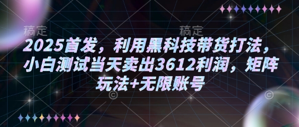 2025首发，利用黑科技带货打法，小白测试当天卖出3612利润，矩阵玩法+无限账号【揭秘】-兵兵资源