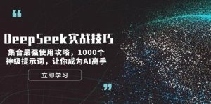 DeepSeek实战技巧：集合最强使用攻略，1000个神级提示词，让你成为AI高手-兵兵资源