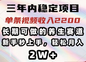 三年内稳定项目，长期可做的养生赛道，单条视频收入2200，新手秒上手，...-兵兵资源