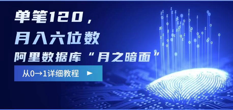 阿里数据库“月之暗面“影评撰写,边追剧边赚钱,单笔120,,月入过W-兵兵资源