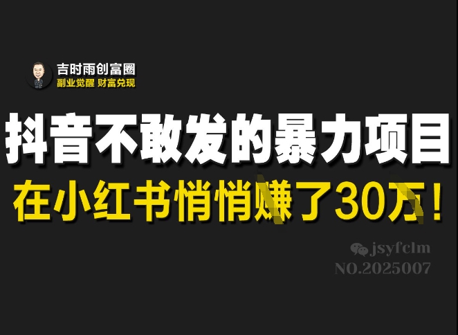 抖音不敢发的暴利项目,在小红书悄悄挣了30W-兵兵资源