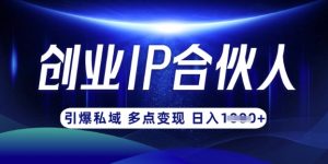 云帆·创业ip合伙人打造3.0，从0到1教你做网创，实现月入过W-兵兵资源
