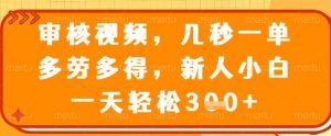 审核视频，几秒一单，多劳多得，新人小白一天轻松3张【揭秘】-兵兵资源