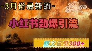 小红书超劲爆引流手段，图文日引300+轻松变现1W-兵兵资源