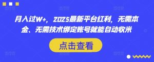 月入过W+，2025最新平台红利，无需本金、无需技术绑定账号就能自动收米-兵兵资源