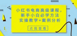 小红书电商高级课程，新手小白必学方法，实操教学+案例分析-兵兵资源
