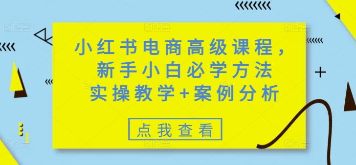 小红书电商高级课程，新手小白必学方法，实操教学+案例分析-兵兵资源