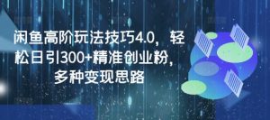闲鱼高阶玩法技巧4.0，轻松日引300+精准创业粉，多种变现思路-兵兵资源