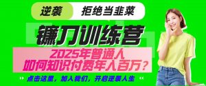 镰刀训练营超级IP合伙人，25年普通人如何通过“知识付费”实现逆袭-兵兵资源