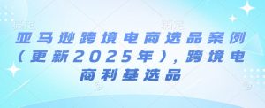 亚马逊跨境电商选品案例(更新2025年3月),跨境电商利基选品-兵兵资源