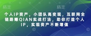 个人IP资产，小团队高变现，互联网全链路赚QIAN实战打法，助你打造个人IP，实现资产不断增值-兵兵资源