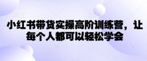 小红书带货实操高阶训练营，让每个人都可以轻松学会-兵兵资源