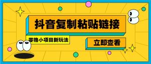 零撸小项目，新玩法，抖音复制链接0.07一条，20秒一条，无限制。-兵兵资源