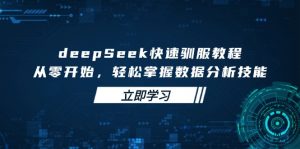 deepSeek快速驯服教程，从零开始，轻松掌握数据分析技能-兵兵资源