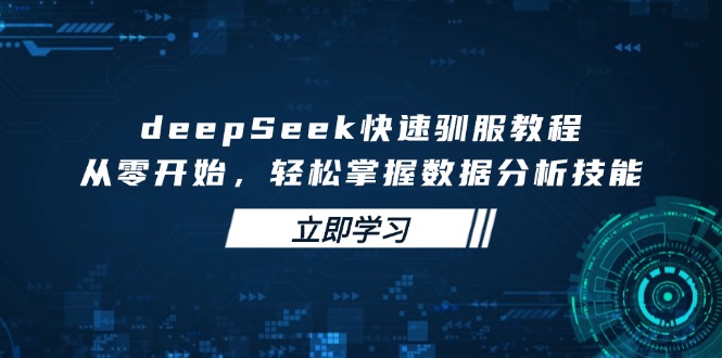deepSeek快速驯服教程，从零开始，轻松掌握数据分析技能-兵兵资源