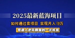 2025蓝海项目，普通人如何通过卖项目，实现月入过W，全过程【揭秘】-兵兵资源