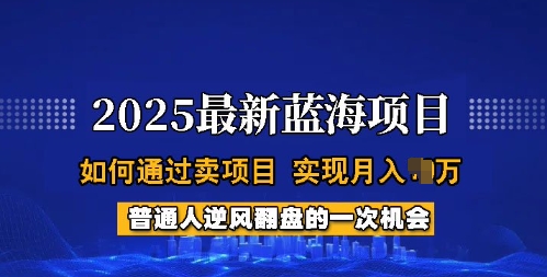 2025蓝海项目，普通人如何通过卖项目，实现月入过W，全过程【揭秘】-兵兵资源