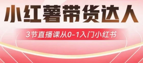 小红薯达人带货启航计划，3节直播课从0-1入门小红书-兵兵资源
