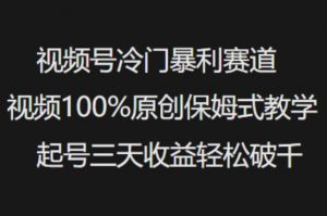 视频号冷门暴利赛道视频100%原创保姆式教学起号三天收益轻松破千-兵兵资源