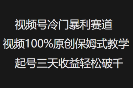 视频号冷门暴利赛道视频100%原创保姆式教学起号三天收益轻松破千-兵兵资源
