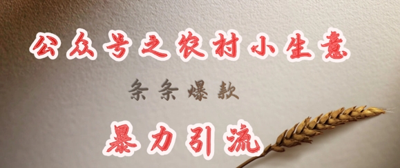 deepseek写农村小项目，条条爆款，暴力引流-兵兵资源