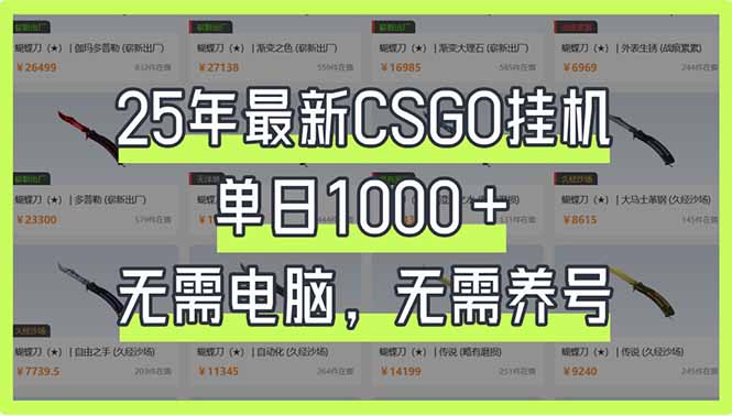 25年最新CSGO挂机系统，单日1000+，无需电脑，无需养号，0基础可上手-兵兵资源