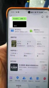 抖音暴力涨粉技术：一天轻松1-10万粉，技术不确定真实性，自测-兵兵资源