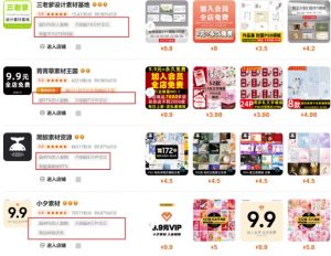 0成本虚拟项目实战手把手教你落地，单店月入5k-兵兵资源