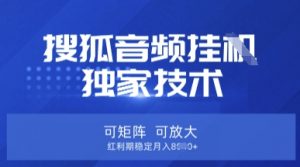 【搜狐音频挂G】独家技术，可矩阵可放大，红利期稳定月入8k【揭秘】-兵兵资源