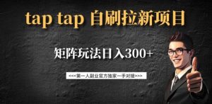 taptap拉新自刷项目，一个新用户14元，矩阵玩法日入300+-兵兵资源