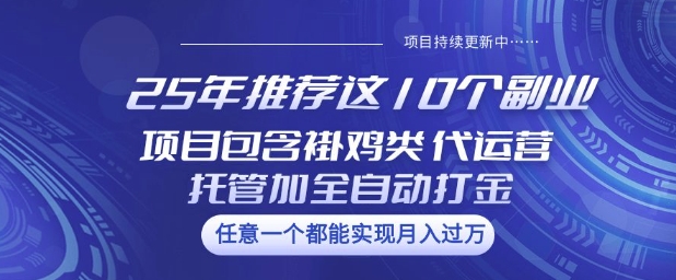25年推荐这10个副业项目包含褂鸡类、代运营托管类、全自动打金类【揭秘】-兵兵资源