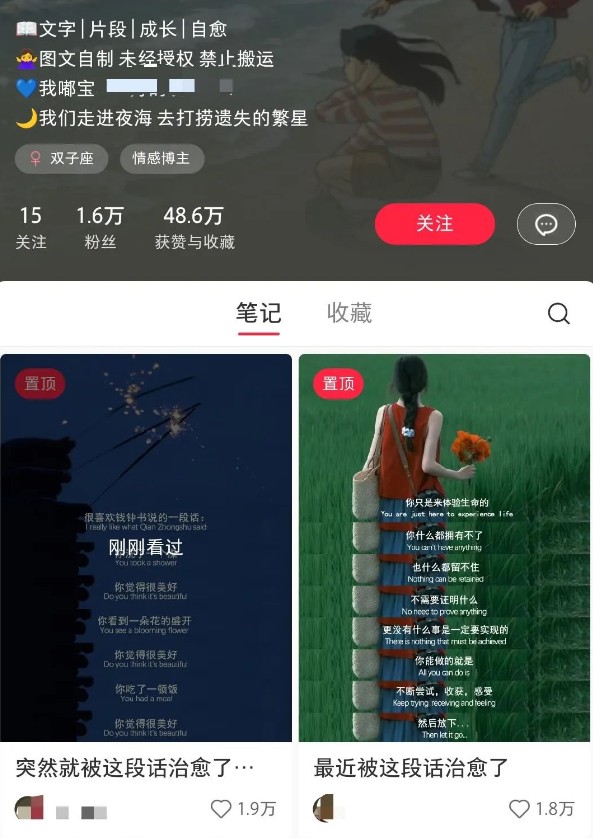 小红书治愈文案图文笔记，零门槛，一分钟制作轻松制作爆款作品月入万元-兵兵资源