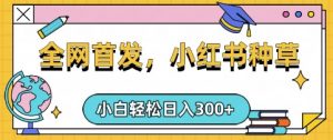 小红书种草，手机项目，日入3张，复制黏贴即可，可矩阵操作，动手不动脑【揭秘】-兵兵资源