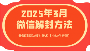 2025年3月微信解封方法 最新跳辅助核对技术【小伙伴亲测】-兵兵资源
